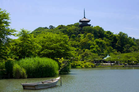 Arrayのeditorial素材