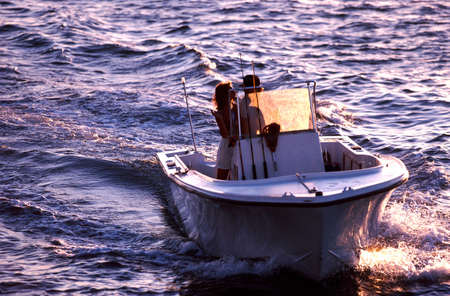 Arrayのeditorial素材