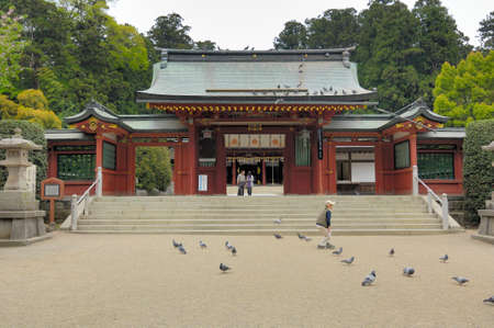 Arrayのeditorial素材