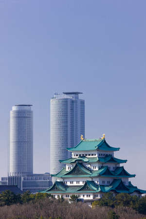 Arrayのeditorial素材