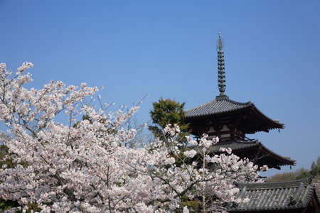 Arrayのeditorial素材