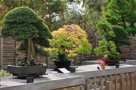 Arrayのeditorial素材