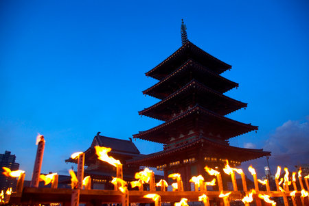 Arrayのeditorial素材