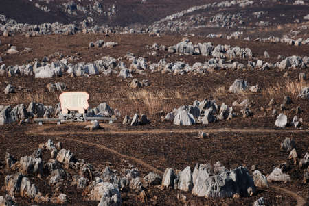 Arrayのeditorial素材