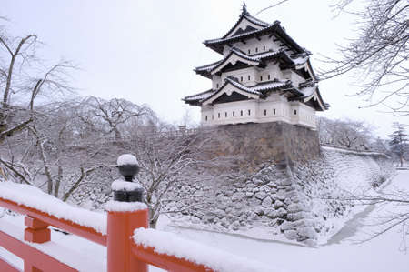 Arrayのeditorial素材