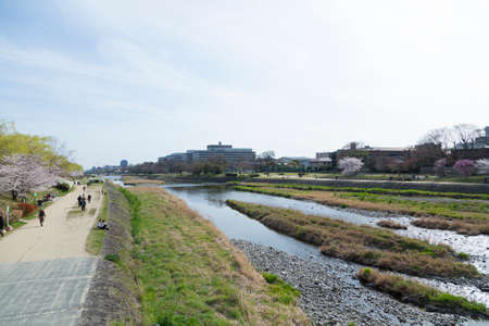 Arrayのeditorial素材