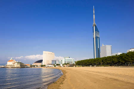 Arrayのeditorial素材