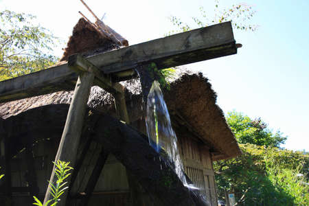 Arrayのeditorial素材