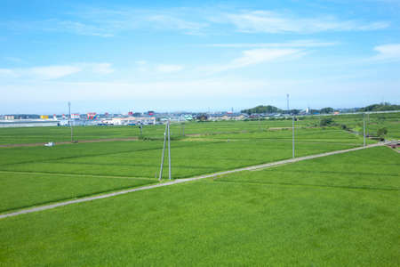 Arrayのeditorial素材