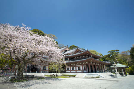 Arrayのeditorial素材