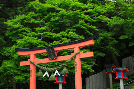 Arrayのeditorial素材