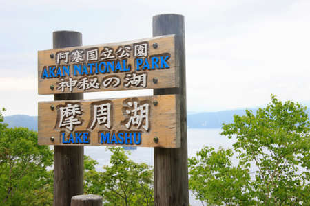 Arrayのeditorial素材