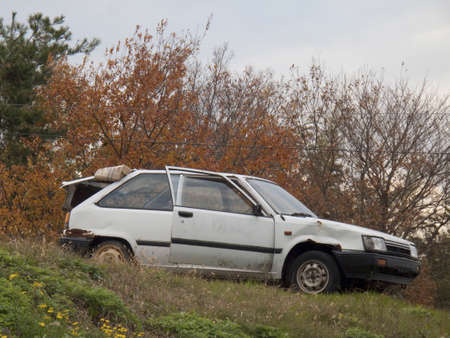 Arrayのeditorial素材