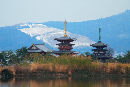 Arrayのeditorial素材