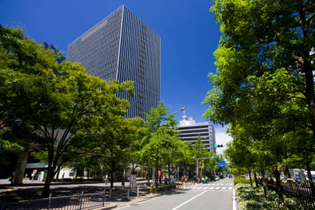 Arrayのeditorial素材