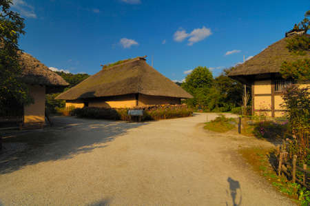 Arrayのeditorial素材