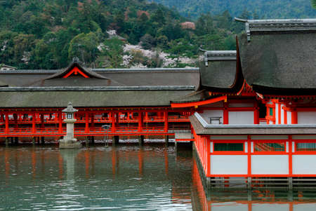 Arrayのeditorial素材