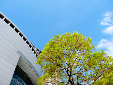 Arrayのeditorial素材