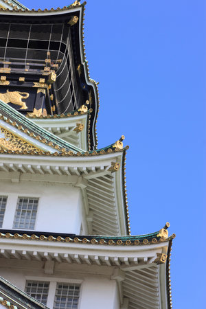 Arrayのeditorial素材