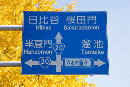 Arrayのeditorial素材