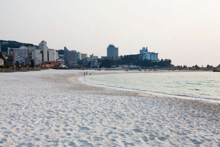 Arrayのeditorial素材