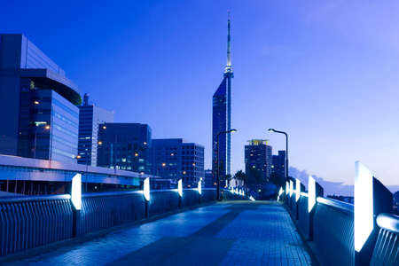 Arrayのeditorial素材