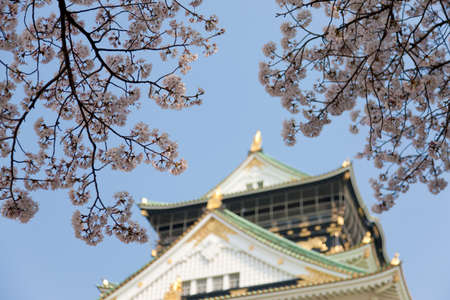 Arrayのeditorial素材