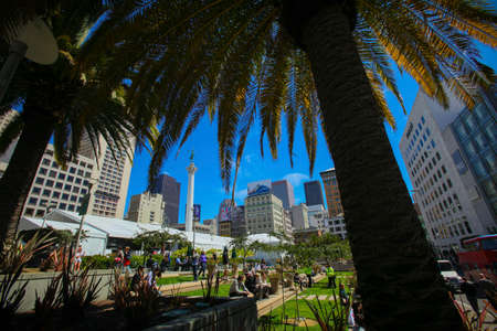 Arrayのeditorial素材