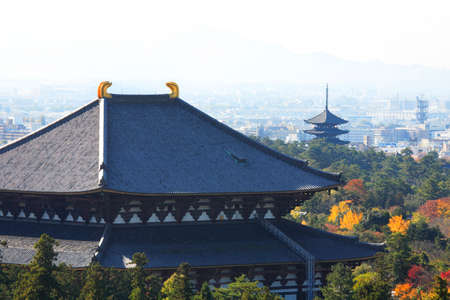 Arrayのeditorial素材