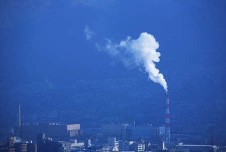 Arrayのeditorial素材