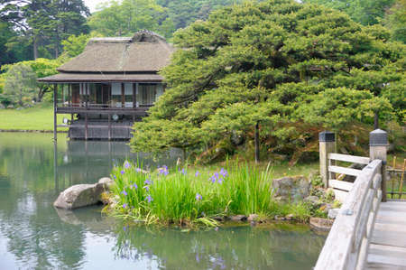 Arrayのeditorial素材