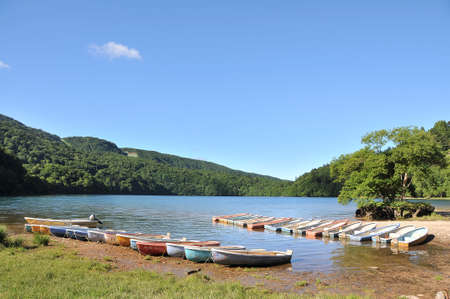 Arrayのeditorial素材