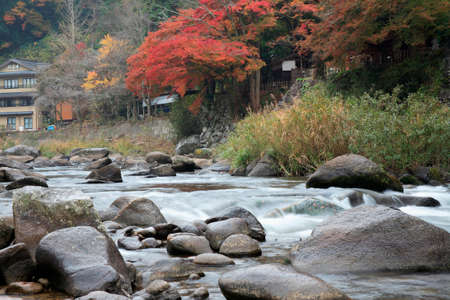 Arrayのeditorial素材