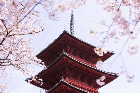 Arrayのeditorial素材