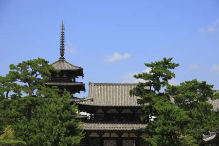 Arrayのeditorial素材