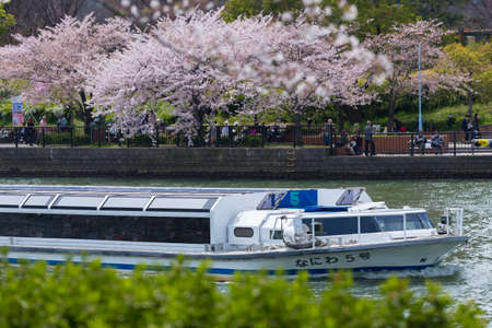 Arrayのeditorial素材