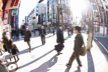 Arrayのeditorial素材