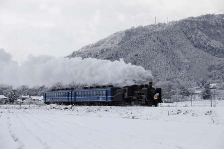 Arrayのeditorial素材