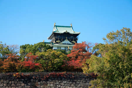 Arrayのeditorial素材