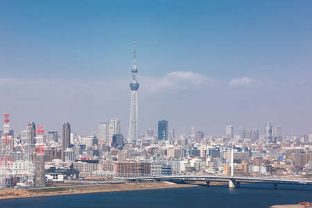 Arrayのeditorial素材