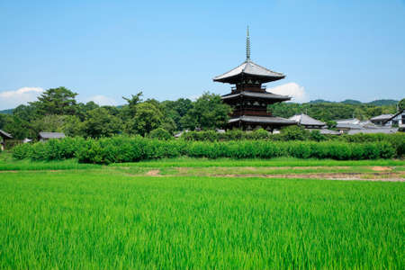 Arrayのeditorial素材