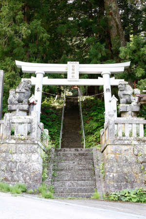 Arrayのeditorial素材