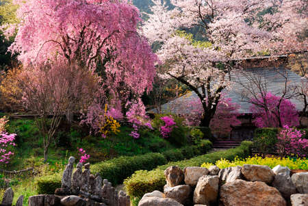 Arrayのeditorial素材