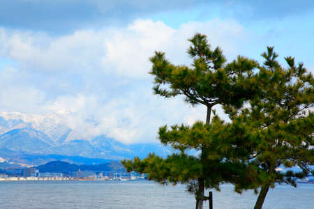 Arrayのeditorial素材