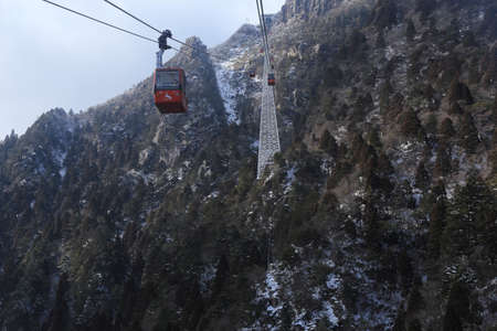 Arrayのeditorial素材