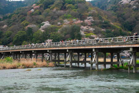 Arrayのeditorial素材