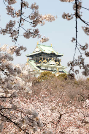 Arrayのeditorial素材