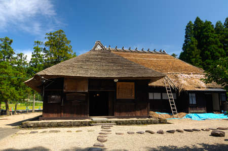 Arrayのeditorial素材