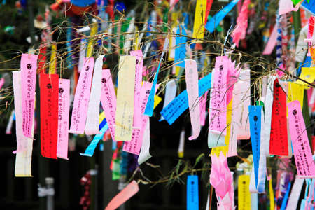 Arrayのeditorial素材