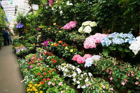 Arrayのeditorial素材